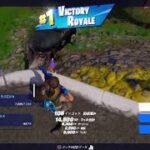 フォートナイト チャプター3 シーズン4 バトルロイヤル ソロ ビクトリーロイヤル  Fortnite Chapter3 Season4 Battleroyal Solo Victory Royale