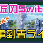 【フォートナイト】師匠がやっとニンテンドー・ストッチを手にできたゼロビルド実況/ソロ/チャプター4/ライブ配信【Fortnite】
