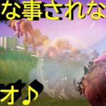 【フォートナイト】この人と建築有りデュオ【FORTNITE】