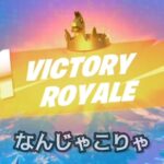 ソロフォトナ【フォートナイト/Fortnite】皆寝た後、ソロ行ってみたやつ。やぱ寂しい。