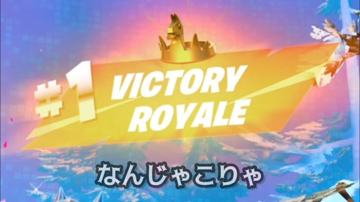 ソロフォトナ【フォートナイト/Fortnite】皆寝た後、ソロ行ってみたやつ。やぱ寂しい。