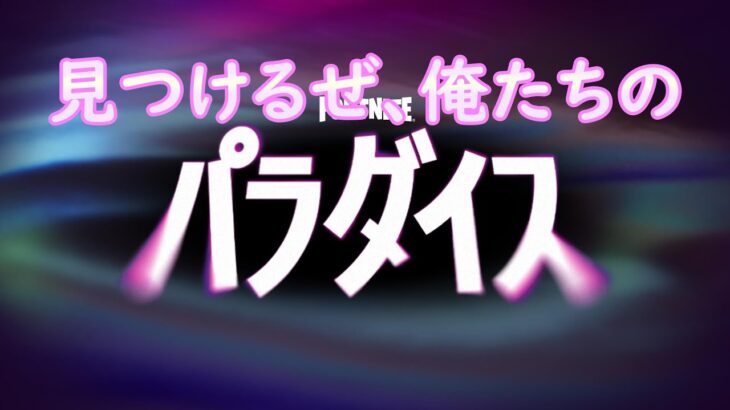 【フォートナイト/Fortnite】アプデきたってマ？　ソロ大会あるのわかったのでマイペースに頑張るマンの配信　非参加型　【練習/エンジョイ】