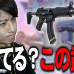 現環境の『サプ付きサブマシンガン』どうなん？【フォートナイト/Fortnite】