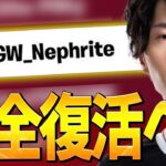 ゼロビルド初ソロ大会でネフライトがアジア5位になりました！！【フォートナイト/Fortnite】