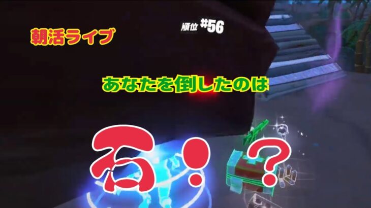 【フォートナイト朝活ライブ配信】63歳テルポンばあやん～今日、ばあやんを倒したのは誰？？？石！？（笑）