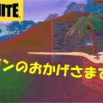 グーガンしか勝たん！ある日のソロ～フォトナ女子～【フォートナイト/FORTNITE】