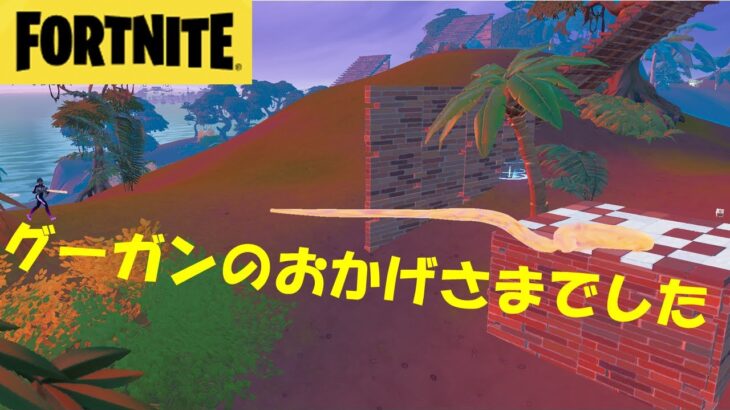 グーガンしか勝たん！ある日のソロ～フォトナ女子～【フォートナイト/FORTNITE】