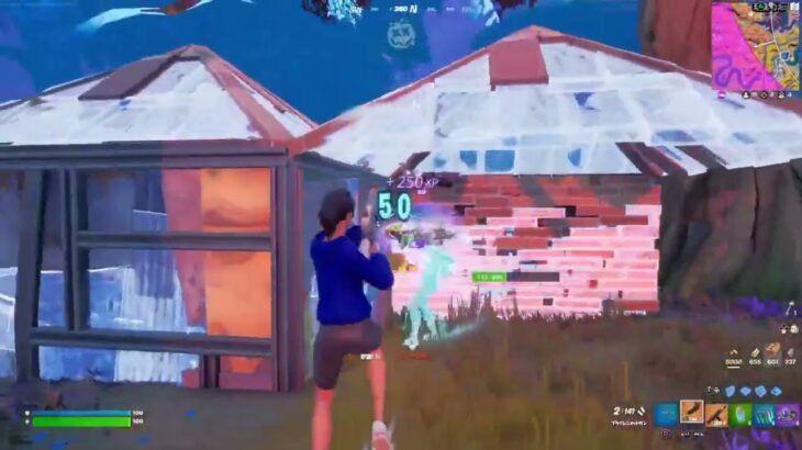 フォートナイト Fortnite 20221128 ソロ ビクロイ PS4