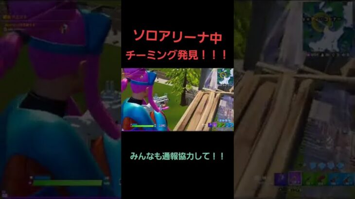 ソロアリーナでチームング発見！！#fortnite  #フォートナイト