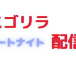 初見さん大歓迎！！アリーナデュオ！！(もしかしたらフレンドになれるかもよぉー）【フォートナイト】