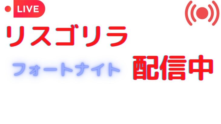 初見さん大歓迎！！アリーナデュオ！！(もしかしたらフレンドになれるかもよぉー）【フォートナイト】