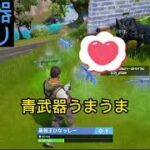 【フォートナイト】青武器しか使えない！？デュオでビクロイを目指す！！