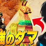 特別仕様のラマと一緒に戦う、ネフライトwwww【フォートナイト/Fortnite】