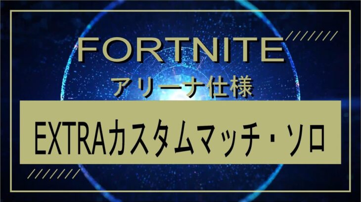 【初見さん歓迎🐶参加型EXTRAカスタムマッチ・ソロ　アリーナ仕様】🎁ＬＩＶＥ配信【フォートナイト】