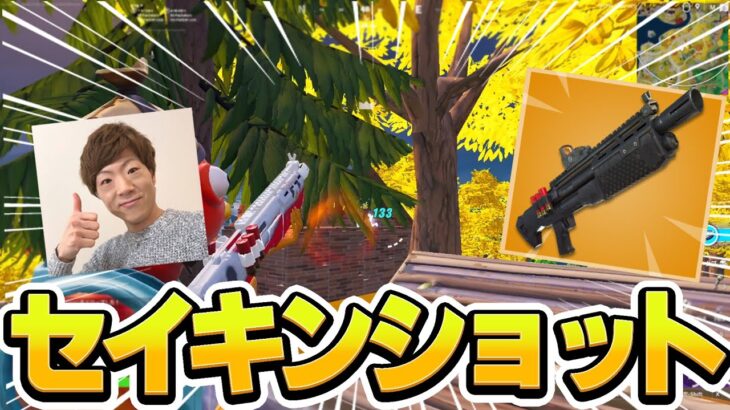 最強の逆張り武器が帰ってきたぞおおお！！！【フォートナイト/Fortnite】