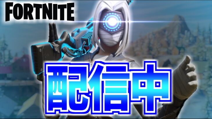 ソロ！【フォートナイト/Fortnite】