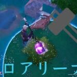 下手くそが行くソロアリーナ　「フォートナイト/Fortnite」