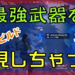 【Fortnite】タクティカルアサルトライフルという最強武器と出逢ったゼロビルド/ソロ実況/日本語字幕付き/マイクあり/バトルロイヤル/Battle Royale/Solo/PS4【フォートナイト】