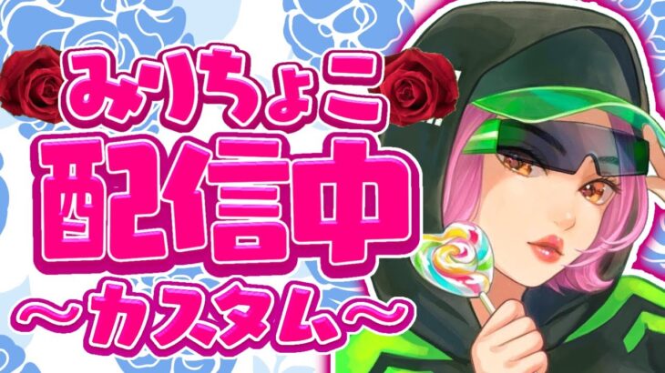 【フォートナイト】　🌹 縛り系ソロカスタム配信 🌹新武器縛りでいきます‼　初見さん歓迎(ΦωΦ)♡