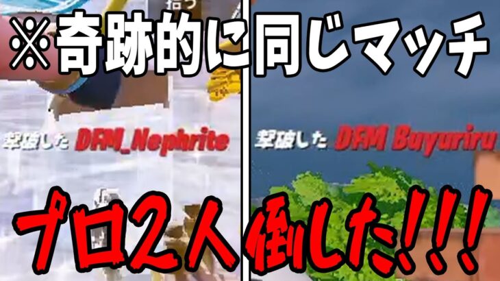 さすがにこれは俺の勝ちだよね？【ネフライト vs キャプテン】【ぶゅりる vs キャプテン】