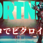 【フォートナイト】BOTしかいない気がするツバキのソロ旅⁉【FORTNITE】【Fortnite】