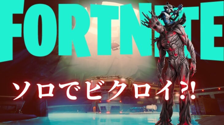 【フォートナイト】BOTしかいない気がするツバキのソロ旅⁉【FORTNITE】【Fortnite】