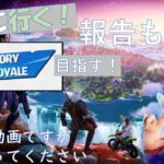 ソロ行くよ！報告あります[フォートナイト/Fortnite]