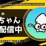 【大会配信】知らない人とデュオ大会配信！【フォートナイト/Fortnite】