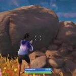 フォートナイト Fortnite 20230104 ソロ ビクロイ PS5