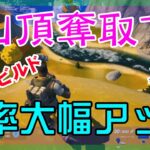 【Fortnite】山頂奪取が優勝に繋がるゼロビルド/ソロ攻略/マイクなし/バトルロイヤル/PS4【フォートナイト】