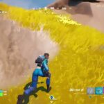 Fortnite_フォートナイトデュオビクロイとれる？