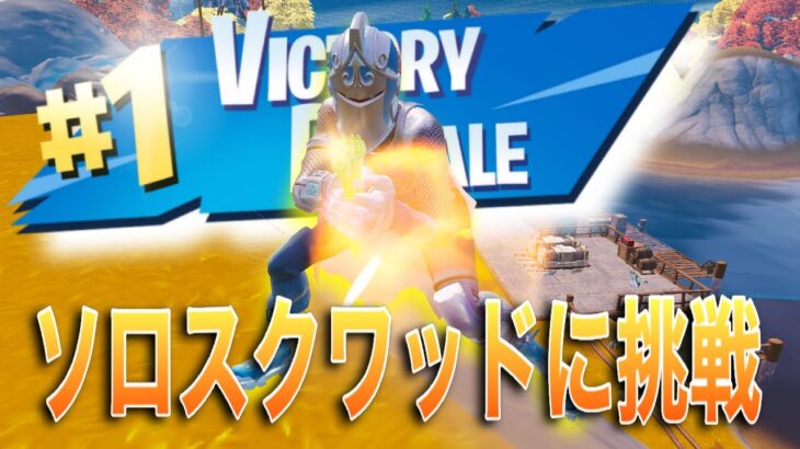 【フォートナイト/ゼロビルド】ソロスクワッドに挑んでみた‼️#fortnite #フォートナイト