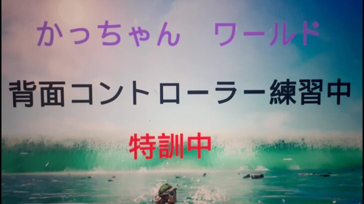 フォートナイト　ライブ　配信　ソロ　やさしい！おっちゃん52才　#フォートナイト　#フォートナイトライブ配信　IDかいひも52