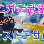 【Fortnite】苦手武器バーストアサルトライフルを駆使するゼロビルド/ソロ攻略/マイクなし/バトルロイヤル/PS4【フォートナイト】