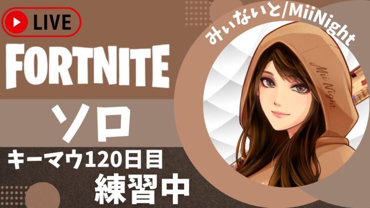 【フォートナイト/Fortnite】ソロor野良スク☆キーマウ120日目配信2023/02/27