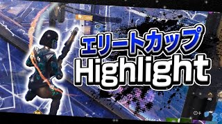 【フォートナイト/fortnite 】ps5デュオのエリートカップhighlight