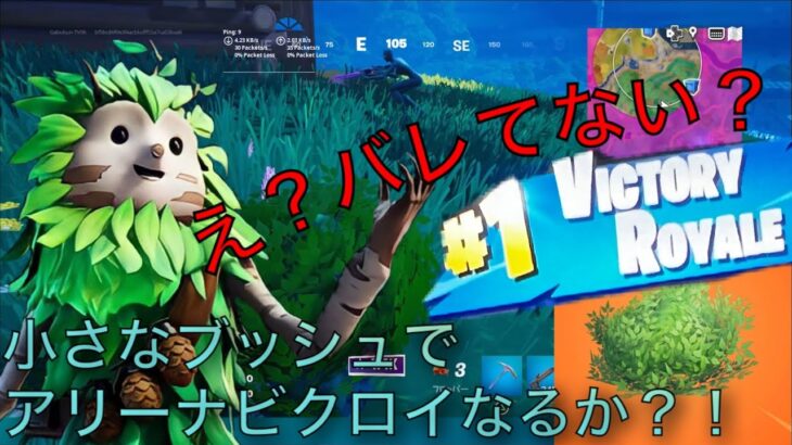 【フォートナイト】ソロアリーナをブッシュに隠れてビクロイできるか？！