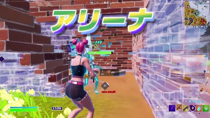 ソロアリーナで12キルビクロイ！【Fortnite/フォートナイト】