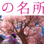 【忙しい人のための攻略】桜の名所はこの3つを行くと早いよ！【フォートナイト】