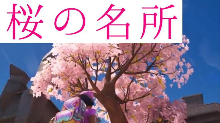 【忙しい人のための攻略】桜の名所はこの3つを行くと早いよ！【フォートナイト】