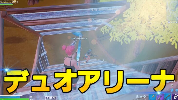 シーズン変わる前のデュオアリーナ 【フォートナイト/FORTNITE】