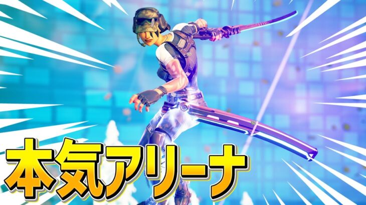 ほぼ全員が「終盤刀を持っているソロアリーナ」でネフライトが違いを魅せます。【フォートナイト/Fortnite】