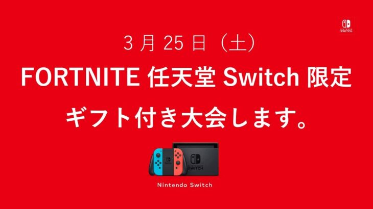 フォートナイト Switch限定賞金付きノーマルソロ