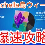 【忙しい人のための攻略】音楽とスプレーが貰えるぞ！！！！Coachella島クエストウィーク2【フォートナイト】