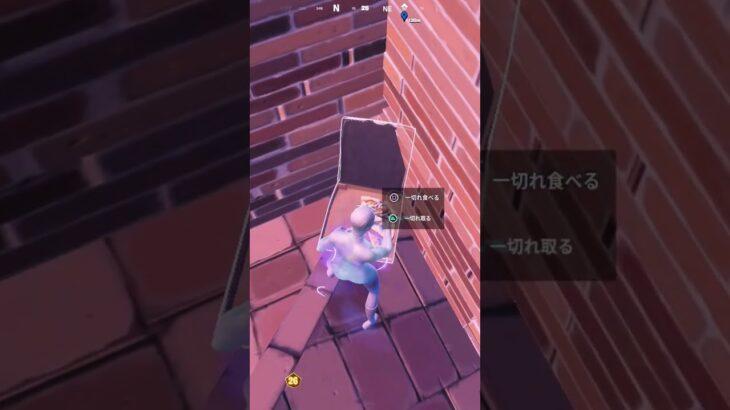 ソロキャッシュカップで予選回復耐久でビクロイ【FORTNITEフォートナイト】