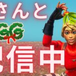 ちょっとだけソロ【Fortnite/フォートナイト】