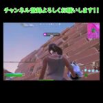 ソロ大会の悲劇[フォートナイト/Fortnite]  ＃shorts #short