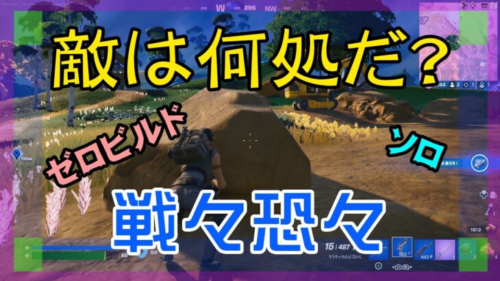 【Fortnite】最後の敵を見失うゼロビルド/ソロ攻略/マイクなし/バトルロイヤル/PS4【フォートナイト】