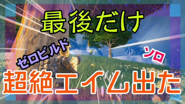 【Fortnite】最後だけ銃撃性能が素晴らしいゼロビルド/ソロ攻略/マイクなし/バトルロイヤル/PS4【フォートナイト】