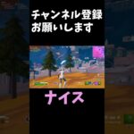 【Fortnite】念願のデュオアリーナビクロイ！　#shorts #フォートナイト #フォートナイト配信 #fortnite #ゲーム配信 #twitch